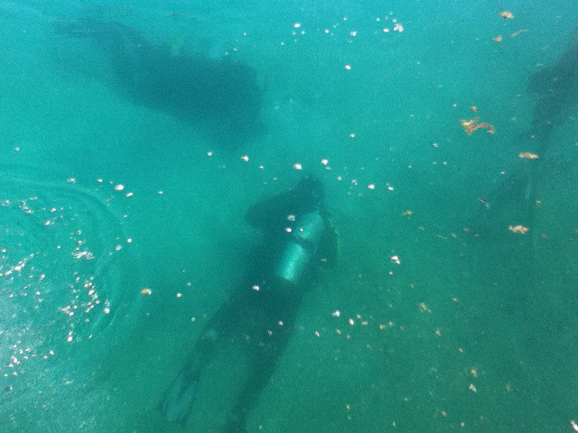 Centre De Plongee Nepteau - Dive Center in Canada
