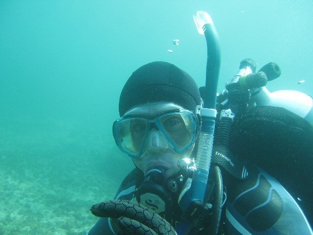 Dive Jervis Bay - Dive Center in Australia