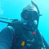Picture taken during the dive