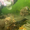 Picture taken during the dive