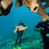 Picture taken during the dive