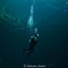 Picture taken during the dive