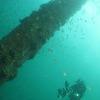 Picture taken during the dive