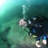 Picture taken during the dive
