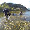 Picture taken during the dive