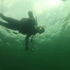 Picture taken during the dive