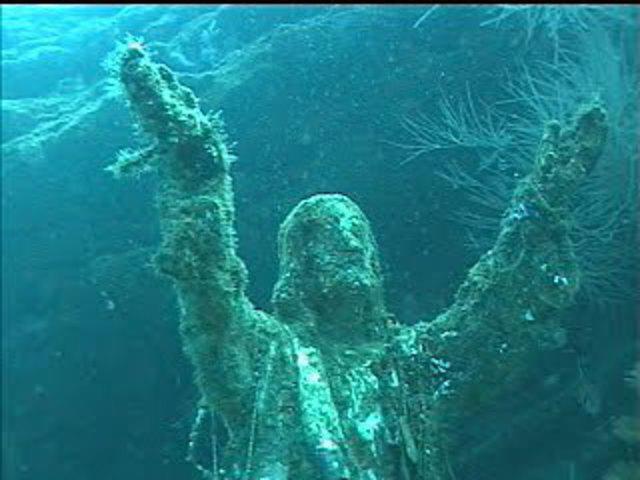 Scubatec Dive Center C.A. - Dive Center in 委内瑞拉