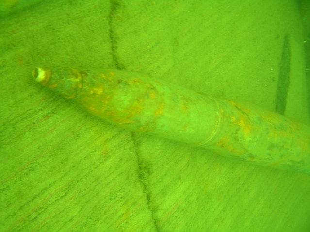 Leštinka-Základna Počepických - Dive Center in República Checa