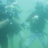Picture taken during the dive
