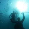 Picture taken during the dive