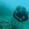 Picture taken during the dive