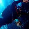 Picture taken during the dive