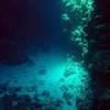 Picture taken during the dive