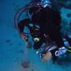 Picture taken during the dive