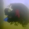 Picture taken during the dive