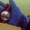 Picture taken during the dive