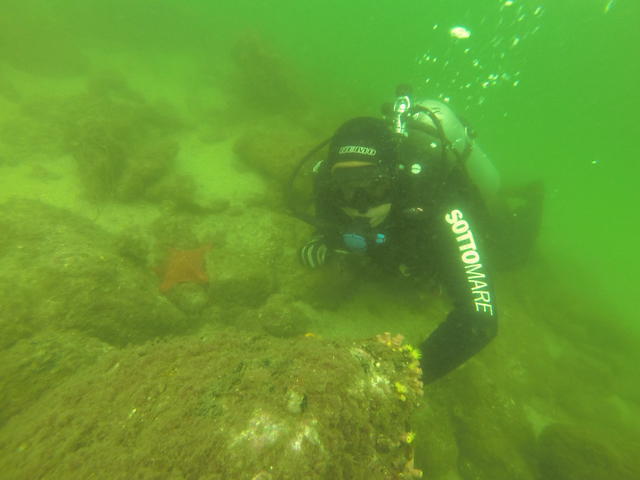 Sotto Mare - Dive Center in Brazil