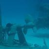 Picture taken during the dive