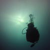 Picture taken during the dive