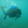 Picture taken during the dive