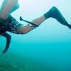 Picture taken during the dive