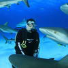 Picture taken during the dive