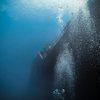 Picture taken during the dive