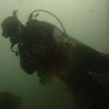 Picture taken during the dive