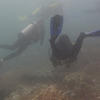 Picture taken during the dive