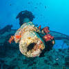Picture taken during the dive
