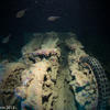 Picture taken during the dive