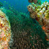 Picture taken during the dive