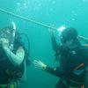 Picture taken during the dive