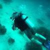 Picture taken during the dive