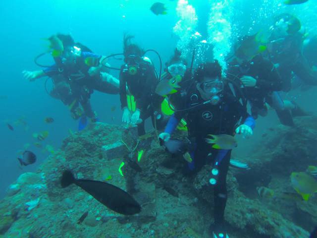 Diver's Sanctuary - Dive Center in Philippines