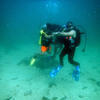 Picture taken during the dive