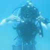 Picture taken during the dive