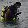 Picture taken during the dive