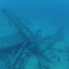 Picture taken during the dive