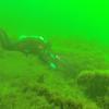Picture taken during the dive