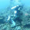Picture taken during the dive