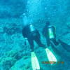 Picture taken during the dive