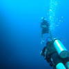 Picture taken during the dive