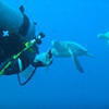 Picture taken during the dive