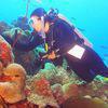 Picture taken during the dive
