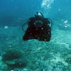 Picture taken during the dive
