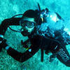 Picture taken during the dive