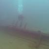 Picture taken during the dive