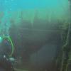 Picture taken during the dive