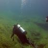 Picture taken during the dive